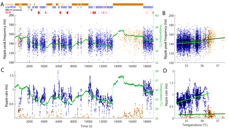 Resources - Petersen Lab - Systems Neuroscience at UCPH