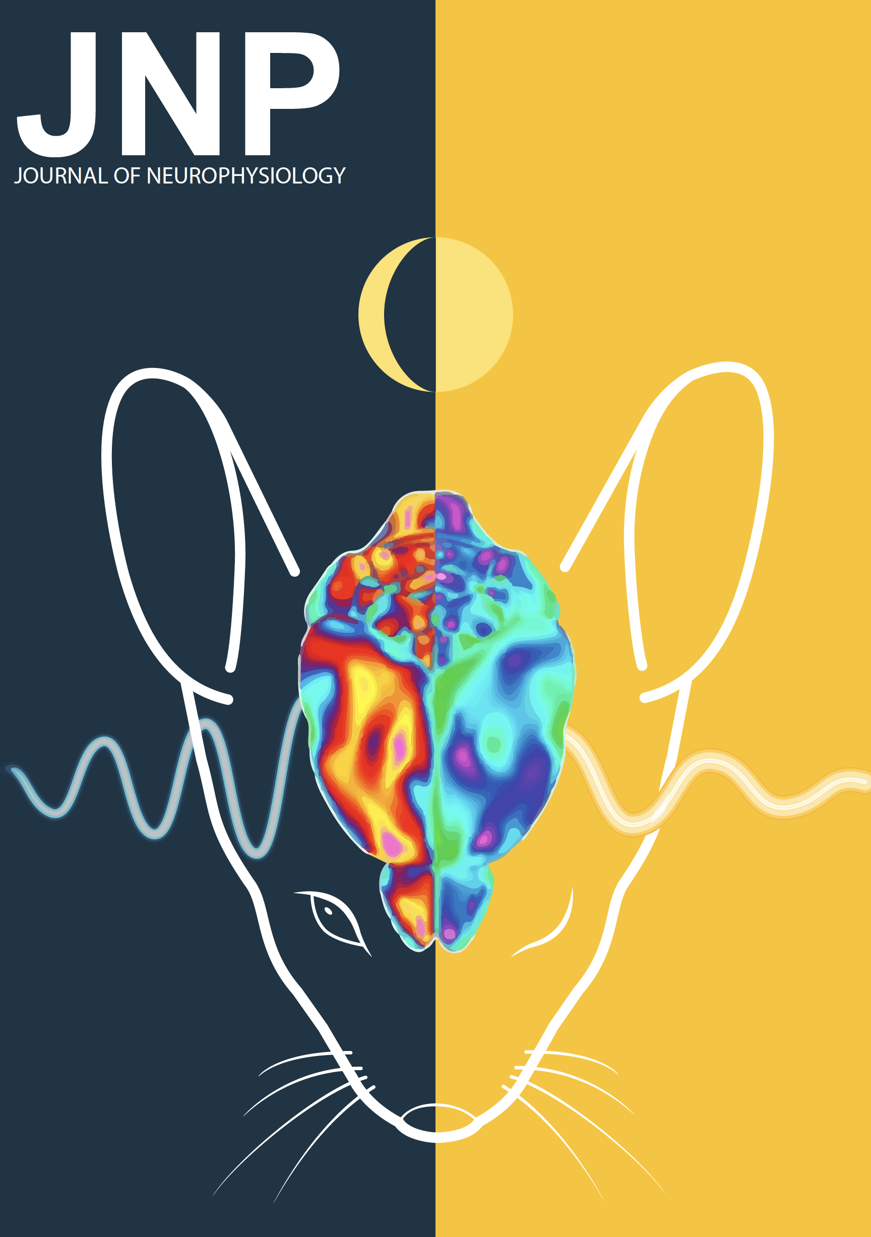 Publications - Petersen Lab - Systems Neuroscience at UCPH