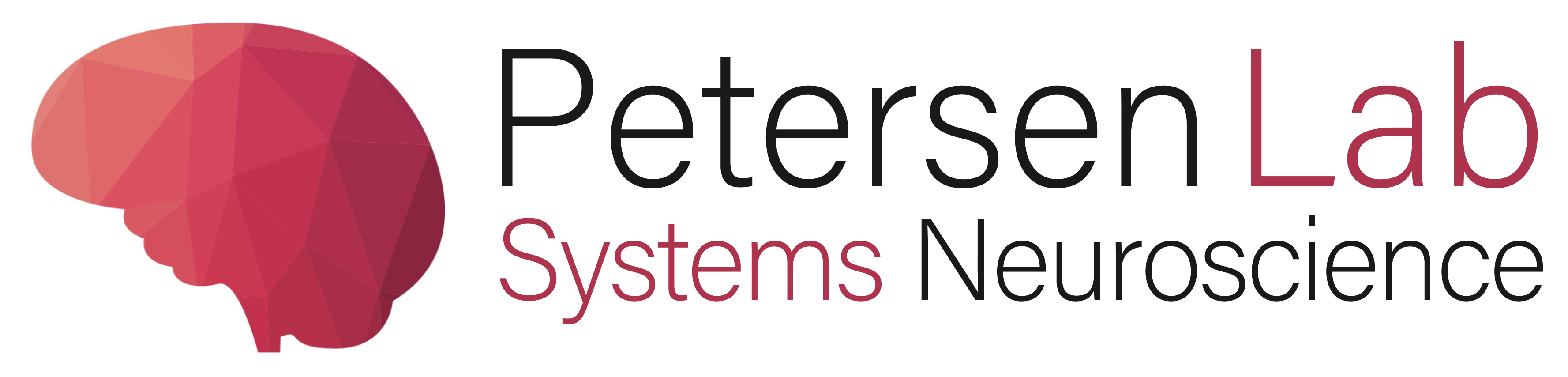 Publications - Petersen Lab - Systems Neuroscience at UCPH